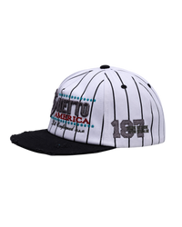 Public Enemy Pinstripe Vintage Cap