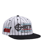 Public Enemy Pinstripe Vintage Cap