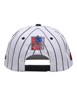 Public Enemy Pinstripe Vintage Cap