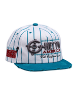 Public Enemy Pinstripe Vintage Cap
