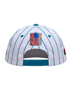 Public Enemy Pinstripe Vintage Cap