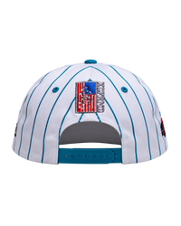 Public Enemy Pinstripe Vintage Cap